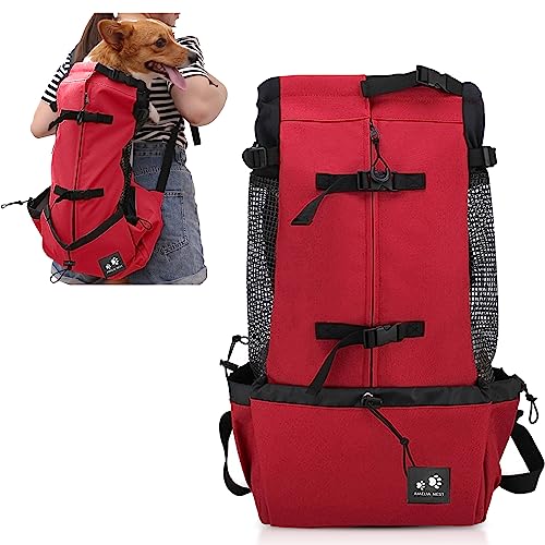 PETCUTE Hundetasche Hundetransporttasche Tragetasche füR Hunde Katzen Wanderrucksack Seite Atmungsaktives Netz Rucksack füR Kleine Mittel Hunde Katzen Kleine bis zu 5 kg von PETCUTE