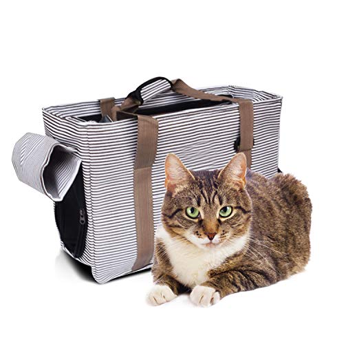 PETCUTE Hundetasche Transporttasche für Hunde Transporttasche für Haustiere Tragetasche Katzen Haustiertasche für Kleine Hunde Wasserdicht von PETCUTE