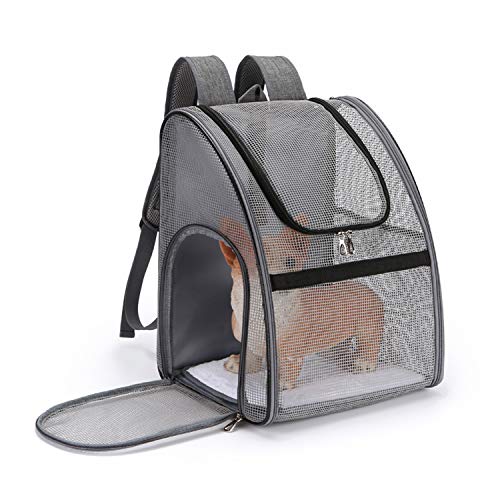 PETCUTE Hundetragetasche Kleine Hunde Atmungsaktiv Transportbox Katze Leicht Haustier Rucksäcke Outdoor Faltbarer Wanderrucksack mit Mesh Fenstertaschen Schwarz von PETCUTE