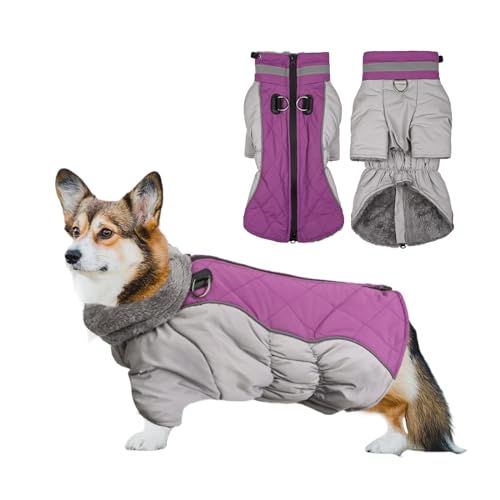 PETCUTE Hundewintermantel,Wasserdicht Haustier Jacke mit Reißverschluss, Winddicht Reflektierend Hundemantel mit Leine Loch,Outdoor Welpe Kaltes Wetter Wintermantel für Kleine Mittle Grosse Hunde von PETCUTE