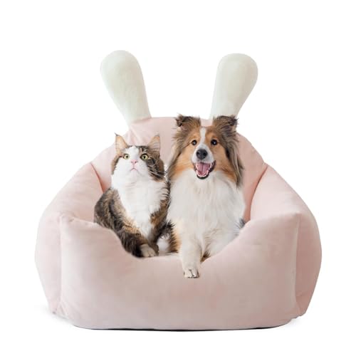 PETCUTE Katzenbett Hundebett,Haustierbett für Katzen und kleine Hunde,Waschbar Kaninchen Design Katzen Bettchen,Niedliches Lustiges Katzenbett,Extra Weich Hundesofa Hundekissen,Warme Hundematratze von PETCUTE