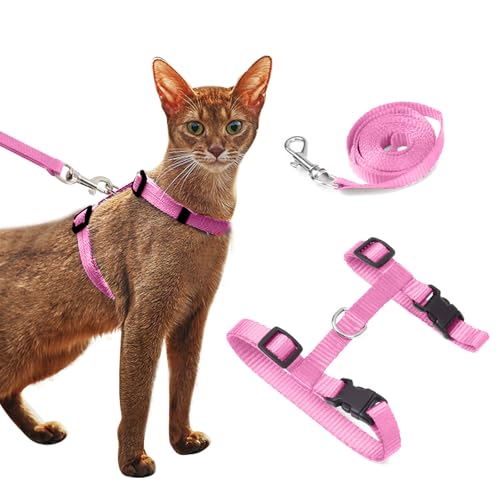 PETCUTE Katzenleine katzengeschirr mit Leine 2 Stücke Harness Katzen Einstellbarer von PETCUTE