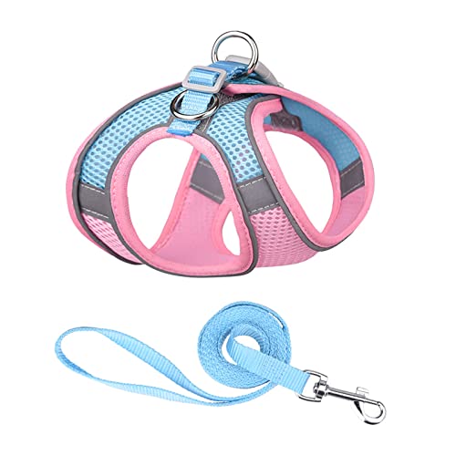 PETCUTE No-Pull Hundegeschirr,Verstellbare Hundegeschirr für Kleine, mittelgroße und große Hunde,Reflektierend Softgeschirr mit D-Ring,Atmungsaktiv Mesh Sicherheitsgeschirr für Kleine Mittlere Hunde von PETCUTE