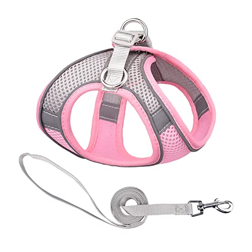 PETCUTE No-Pull Hundegeschirr,Verstellbare Hundegeschirr für Kleine, mittelgroße und große Hunde,Reflektierend Softgeschirr mit D-Ring,Atmungsaktiv Mesh Sicherheitsgeschirr für Kleine Mittlere Hunde von PETCUTE