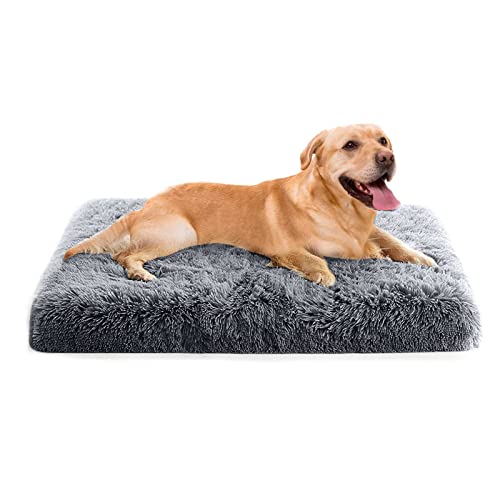 PETCUTE Orthopädische Hundekissen Katzenbett,Waschbar Haustierbett für Katzen und Hunde,Flauschiges Hundebett mit Memory Foam,Bequeme Weich Hundebett mit rutschfeste Unterseite mit Abnehmbarem Bezug von PETCUTE