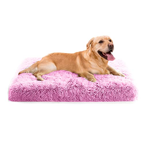 PETCUTE Orthopädische Hundekissen Katzenbett,Waschbar Haustierbett für Katzen und Hunde,Flauschiges Hundebett mit Memory Foam,Bequeme Weich Hundebett mit rutschfeste Unterseite mit Abnehmbarem Bezug von PETCUTE