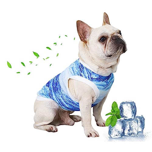 PETCUTE Sommer Hundeshirt,Kühlwesten für Hunde,Weich Hund Ärmellose Weste Atmungsaktiv,UV-Schutz Haustier T-Shirt,Haustier Kühlweste Geeignet für Kleine bis mittelgroße Hunde und Welpen,S von PETCUTE