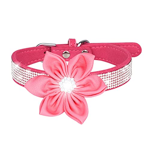 PETCUTE Stilvolle Hundehalsband,Verstellbarer Hundehalsband mit Strasssteinen,Weiches Wildleder,Atmungsaktiv Haustier Halsbänder,Katze Halsband,Hundehalsband Aus Bling Strass Für Kleine Mittlere Hunde von PETCUTE