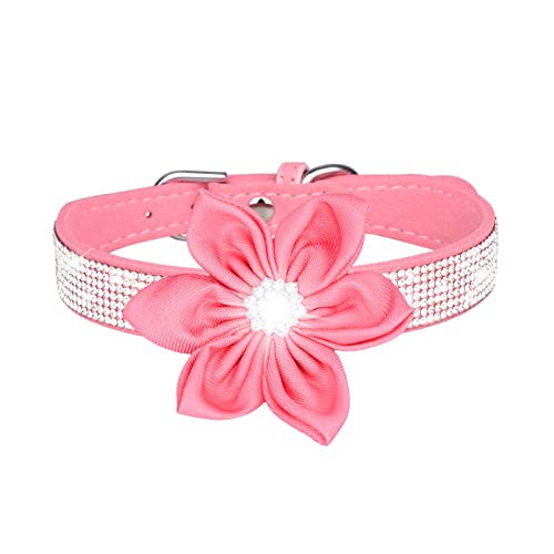 PETCUTE Stilvolle Hundehalsband,Verstellbarer Hundehalsband mit Strasssteinen,Weiches Wildleder,Atmungsaktiv Haustier Halsbänder,Katze Halsband,Hundehalsband Aus Bling Strass Für Kleine Mittlere Hunde von PETCUTE