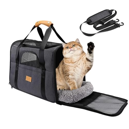 PETCUTE Transportbox Katze,Faltbar Katzen Transportboxen mit Abnehmbare Matte,Atmungsaktiv Hundetragetasche mit Einstellbar Schultergurt,Katzenbox für Katzen Kleiner Hund Welpe,Airline Zugelassen von PETCUTE