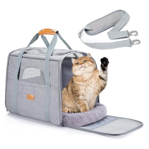 PETCUTE Transportbox Katze,Faltbar Katzen Transportboxen mit Abnehmbare Matte,Atmungsaktiv Hundetragetasche mit Einstellbar Schultergurt,Katzenbox für Katzen Kleiner Hund Welpe,Airline Zugelassen von PETCUTE