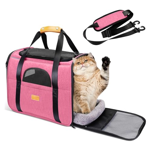 PETCUTE Transportbox Katze,Faltbar Katzen Transportboxen mit Abnehmbare Matte,Atmungsaktiv Hundetragetasche mit Einstellbar Schultergurt,Katzenbox für Katzen Kleiner Hund Welpe,Airline Zugelassen von PETCUTE