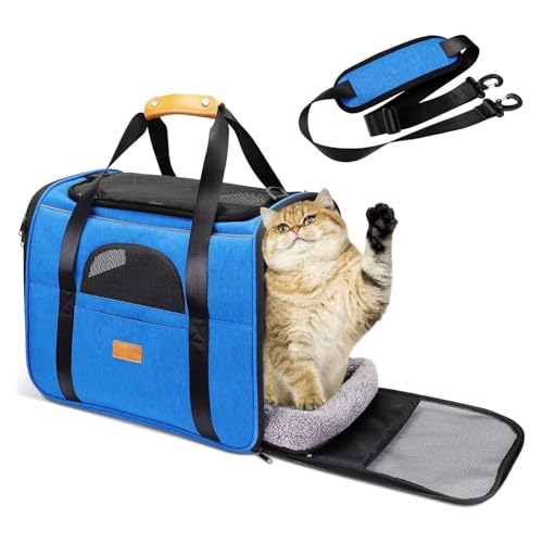 PETCUTE Transportbox Katze,Faltbar Katzen Transportboxen mit Abnehmbare Matte,Atmungsaktiv Hundetragetasche mit Einstellbar Schultergurt,Katzenbox für Katzen Kleiner Hund Welpe,Airline Zugelassen von PETCUTE