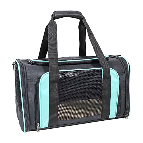 PETCUTE Transportbox Katze & Hund,Faltbare Katzentragetasche,Atmungsaktives Katze Transporttasche mit Innerer Sicherheitsgurt,Transportbox für Haustiere Mittel Kleine Hund Katze,Abnehmbare Matte von PETCUTE