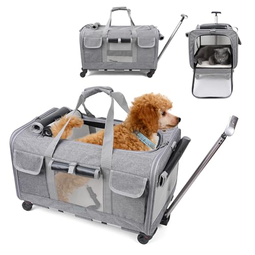 PETCUTE Transporttasche für Katze mit Rollen,Atmungsaktiv Katzen Transporttasche für 2 Katzen,Faltbarer Katzentransportbox Hundetragetasche mit Teleskopgriff,Herausnehmbare Matte, ideal für Reisen von PETCUTE