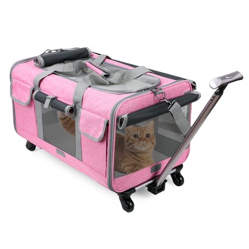PETCUTE Transporttasche für Katze mit Rollen,Atmungsaktiv Katzen Transporttasche für 2 Katzen,Faltbarer Katzentransportbox Hundetragetasche mit Teleskopgriff,Herausnehmbare Matte, ideal für Reisen von PETCUTE