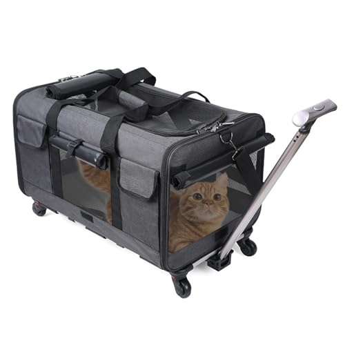 PETCUTE Transporttasche für Katze mit Rollen,Atmungsaktiv Katzen Transporttasche für 2 Katzen,Faltbarer Katzentransportbox Hundetragetasche mit Teleskopgriff,Herausnehmbare Matte, ideal für Reisen von PETCUTE