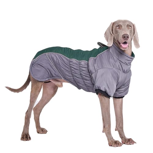 PETCUTE Warme Hundejacke, Reflektierende Winddichte Hundemantel für Kleine Hunde,Moden Hundemantel Grosse Hunde mit Reißverschluss, Hunde Wintermantel, Wasserdichter Welpenjacke für Kalten Winter von PETCUTE