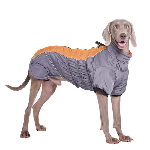 PETCUTE Warme Hundejacke, Reflektierende Winddichte Hundemantel für Kleine Hunde,Moden Hundemantel Grosse Hunde mit Reißverschluss, Hunde Wintermantel, Wasserdichter Welpenjacke für Kalten Winter von PETCUTE