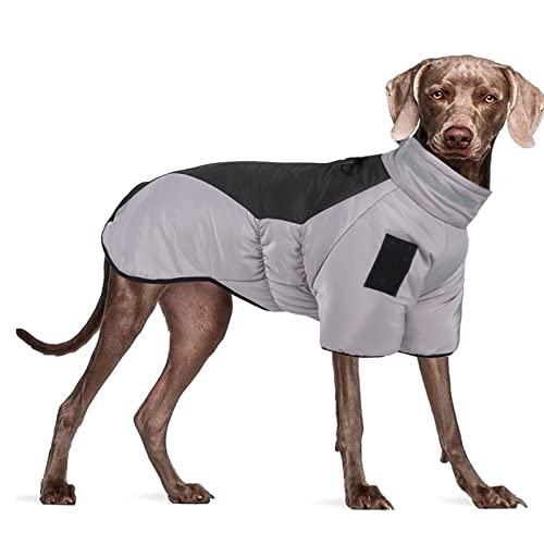 PETCUTE Wasserdicht Hundemantel, Kaltes Wetter Winter Warme Jacke für Kleine Mittlere Große Hunde, Hundemantel Warme Jacke mit Kragenloch,Reissverschluss,Reflektierend Welpen Winterweste von PETCUTE