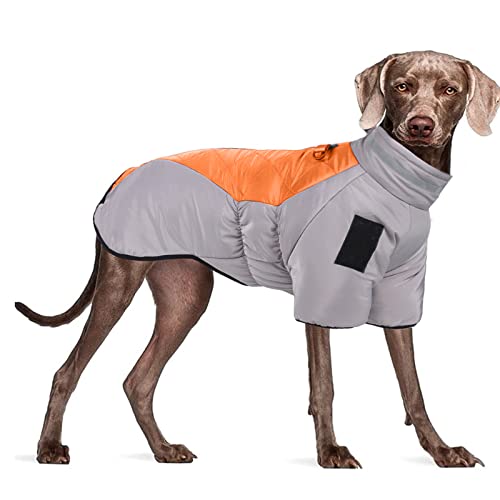 PETCUTE Wasserdicht Hundemantel, Kaltes Wetter Winter Warme Jacke für Kleine Mittlere Große Hunde, Hundemantel Warme Jacke mit Kragenloch,Reissverschluss,Reflektierend Welpen Winterweste von PETCUTE