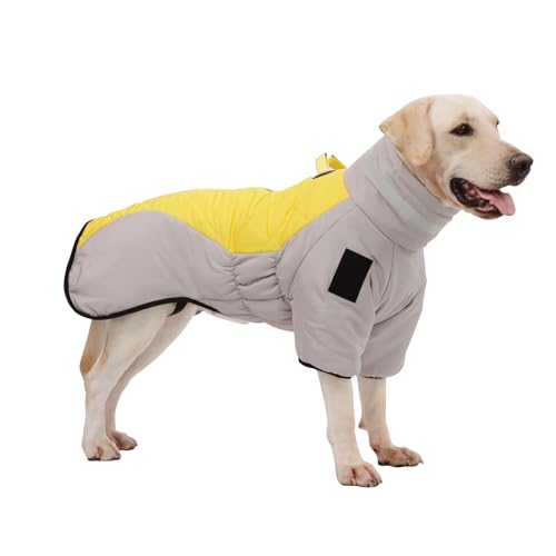 PETCUTE Wasserdicht Hundemantel,Winter Hundejacke für Kleine Hunde,Winddichte Wintermantel Hund mit Reflektierender Streifen und Kabelbaumbohrung,Hunde Wintermantel Kaltes Wetter von PETCUTE