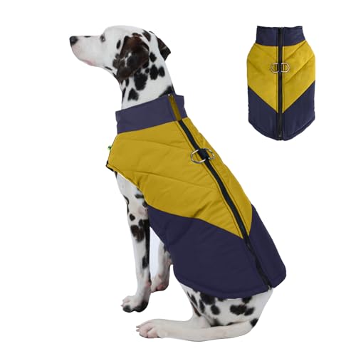 PETCUTE Wasserdichter Hundemantel,Warme Jacke für Haustiere,Winddichte Hundekleidung für kaltes Wetter Outfit mit Geschirr D-Snap,Winterweste für mittelgroße Hunde,Leicht zu Tragen von PETCUTE