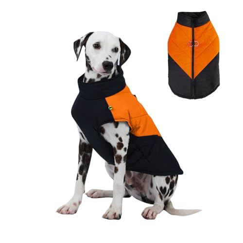 PETCUTE Wasserdichter Hundemantel,Warme Jacke für Haustiere,Winddichte Hundekleidung für kaltes Wetter Outfit mit Geschirr D-Snap,Winterweste für mittelgroße Hunde,Leicht zu Tragen von PETCUTE