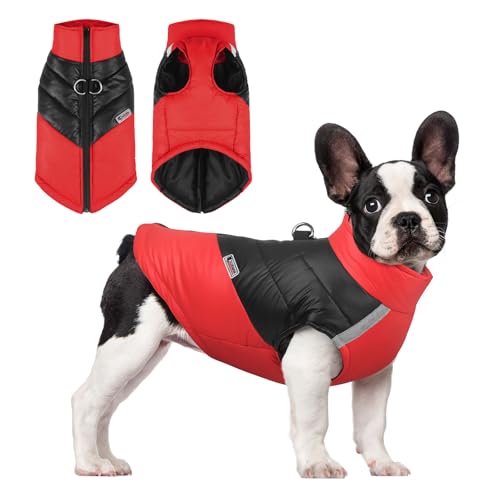 PETCUTE Wasserdichter Hundemantel Winter Warme Hundejacke mit D-Ring,Hund Winterweste mit Reflektierendem Streifen,Hunde Mantel Warme Jacke für Kleine Mittlere Große Hunde Chihuahua Labrador von PETCUTE