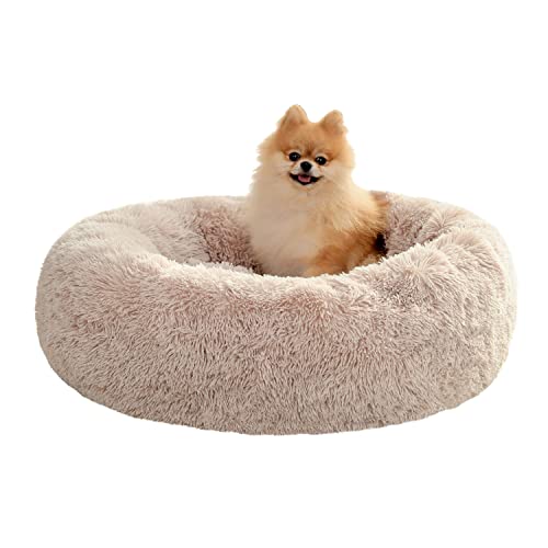 PETEPELA Hundebett Plüsch weich warm Donut Haustierbett für Hund Flauschiges kuscheliges Schlafbett Multi-Size-Haustier Sofa für klein-mittelgroße Hunde maschinenwaschbar Beige M von PETEPELA