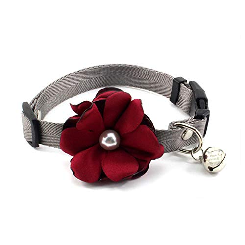 PETFAVORITES Hundehalsband mit Geranie, mit Fliege, Nylon, mit Glöckchen, Chihuahua Yorkie von PETFAVORITES