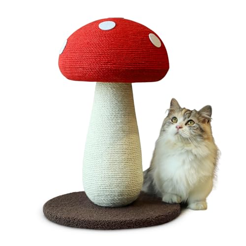 PETFROH Katzenkratzbaum, aus Sisal, niedlicher Pilz-Kratzbaum, Kratzbaum für Indoor-Katzen, 50 cm von PETFROH