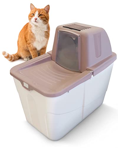 PETGARD Katzen-Klo Sofia Close - Tier-Toilette mit Einstieg von oben - Hauben-Toilette mit Filter - Haustier-Klo 58x39x56 cm - Katzen-Toilette Beere von PETGARD