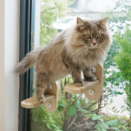 PETKARAY Katzenfensterregal, Original Katzenfensterstange Treppe, langlebiger Katzensitz für Fensterbank, Stabile Fensterstufe für Indoor-Katzen von PETKARAY