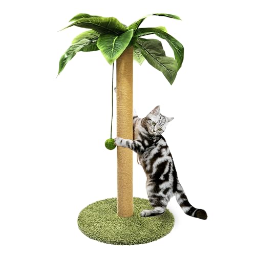 PETKARAY Katzenkratzbaum, 91,4 cm hoch, Palme, Katzenkratzbaum, Sisal-Kratzbaum mit Spielzeugball für Indoor-Kätzchen, große Größe von PETKARAY