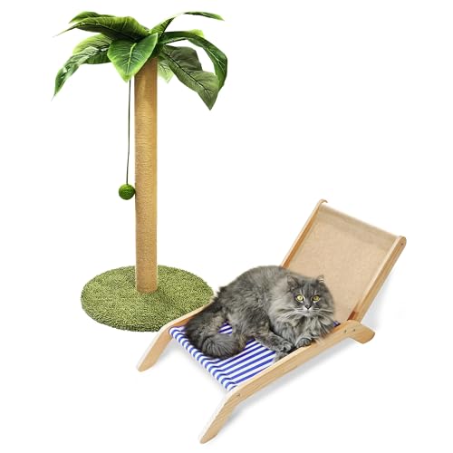 PETKARAY Katzenkratzbaum mit Katzenstrandkorb, 91,4 cm hoch Palme Katzenkratzbaum, großer Sisal-Kratzbaum für Indoor-Kätzchen von PETKARAY