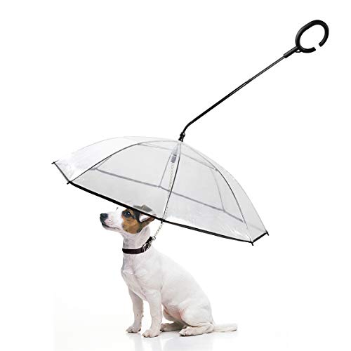 PETLESO Hunde Regenschirme für Spaziergänge im Freien bei Schnee oder Regen von PETLESO
