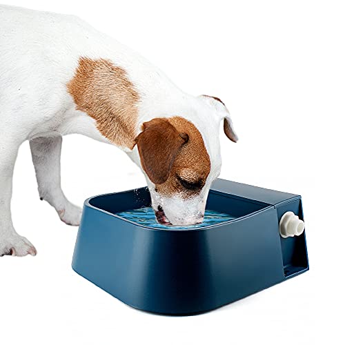 PETLESO Hunde Wassernapf Hunde Wasserschale Tränkebecken für Haustiere mit Schwimmerventil Automatische Füllen Wassertränke für Hunde/Katze/Hase/Hühner von PETLESO