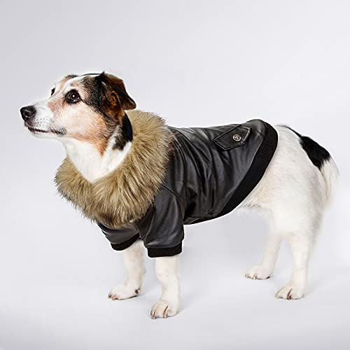 PETLESO Hundebekleidung Winter Hundemantel Warm Fleece Hundejacke Aufknöpfen Leder Winterjacke für Klein/Mittel Hunde - L von PETLESO