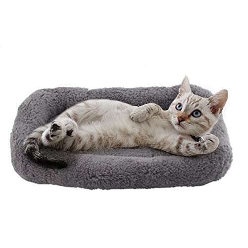 PETLESO Kleines Katzenbett, Plüsch-Katzenkissen, kleine Katzenbetten für Indoor-Katzen, flauschige Katzenmatte für kleine Katzen, zum Schlafen für Transportbox, klein, 38,1 x 25,4 cm von PETLESO