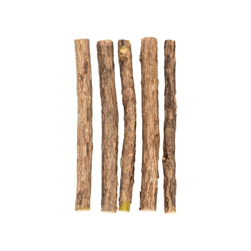 PETLIMA® | 5 x Matatabi Sticks - Natürliche Zahnpflege für Katzen, reduziert Zahnbeläge & Zahnstein, Katzenspielzeug mit ätherischen Ölen, luftdicht verpackt für langanhaltende Frische von PETLIMA