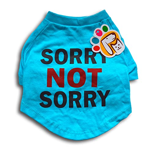 PETMONT Lässiges T-Shirt für Haustiere: Sorry not Sorry Blue Groß für kleine und mittelgroße Hunde Größe XL von PETMONT