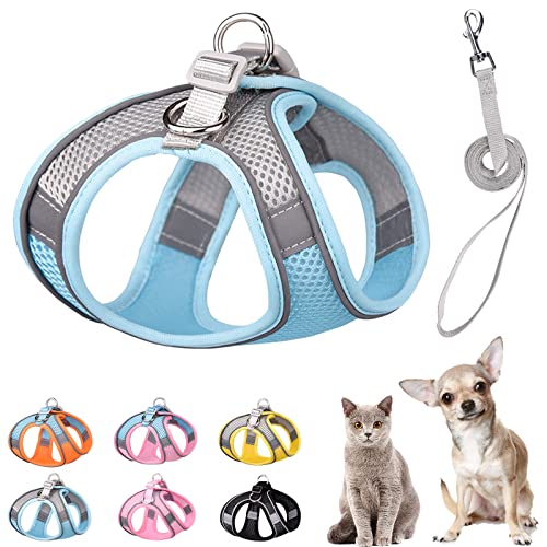 PETPUBGNZS Weiches kleines Hundegeschirr und Leine, Set, Step in Air Mesh Welpengeschirr Leash Easy Walk Hundegeschirr Weste Verstellbar Reflektierend No Pull Hundegeschirr für kleine Hunde Katzen (Blau Grau, L) von PETPUBGNZS