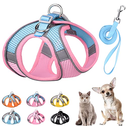 PETPUBGNZS Weiches kleines Hundegeschirr und Leine, Set, Step in Air Mesh Welpengeschirr Leash Easy Walk Hundegeschirr Weste Verstellbar Reflektierend No Pull Hundegeschirr für kleine Hunde Katzen (Rosa Blau, S) von PETPUBGNZS