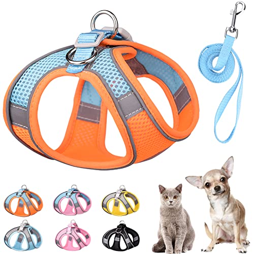 PETPUBGNZS Weiches kleines Hundegeschirr und Leine, Set, Step in Air Mesh Welpengeschirr Leash Easy Walk Hundegeschirr Weste Verstellbar Reflektierend No Pull Hundegeschirr für kleine Hunde Katzen (Orange Blau, XS) von PETPUBGNZS