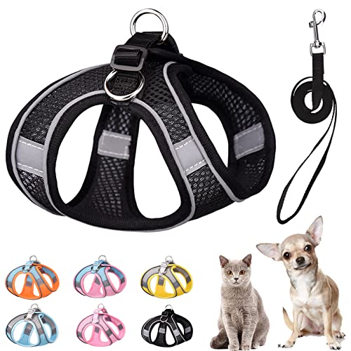 PETPUBGNZS Weiches kleines Hundegeschirr und Leine, Set, Step in Air Mesh Welpengeschirr Leash Easy Walk Hundegeschirr Weste Verstellbar Reflektierend No Pull Hundegeschirr für kleine Hunde Katzen (Schwarz, XS) von PETPUBGNZS