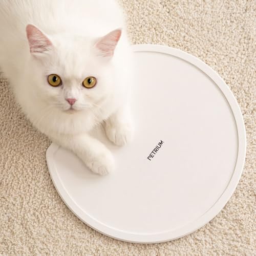 PETRIUM Schnell trocknende Haustier-Stein-Futtermatte für Katzen Hunde, natürliche Materialien, Futter- und Wassernäpfe, natürliche Kieselgur Matte, Anti-Rutsch-Matte, Reinigungswerkzeug PETRIUM Schnell trocknende Haustier-Stein-Futtermatte für Katzen Hunde, natürliche Materialien, Futter- und Wassernäpfe, natürliche Kieselgur Matte, Anti-Rutsch-Matte, Reinigungswerkzeug von PETRIUM