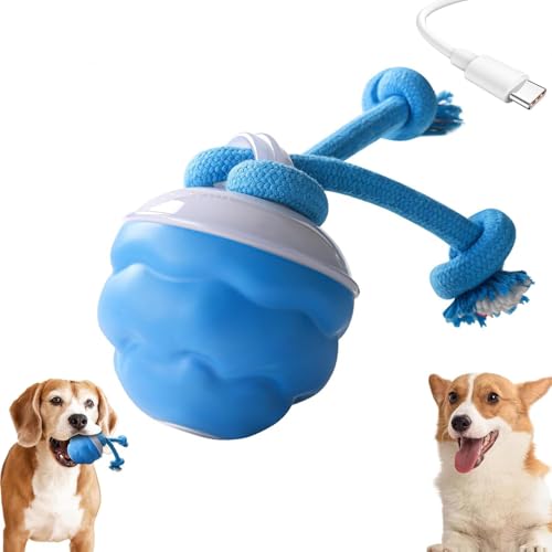 Power Tail 2.0 Dog Toy, Barkzys Power Tail Dog Toy, Powertail 2.0, Barkzys Interactive Dogs Ball, Interactive Dogs Ball with Motion Activated, BarkzysDog ToyInteractive,USB Rechargeable (1pcs) von PETSBURG