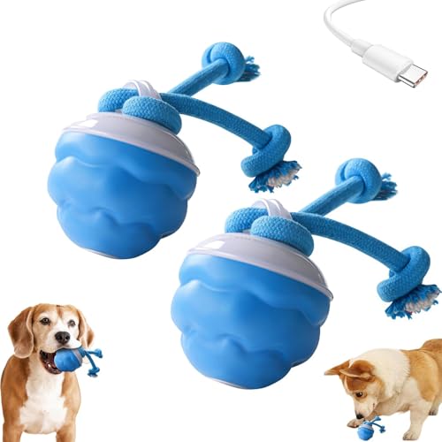 Power Tail 2.0 Dog Toy, Barkzys Power Tail Dog Toy, Powertail 2.0, Barkzys Interactive Dogs Ball, Interactive Dogs Ball with Motion Activated, BarkzysDog ToyInteractive,USB Rechargeable (2pcs) von PETSBURG