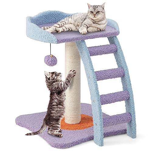 PETSITE Kleiner süßer Katzenbaum, 48,3 cm, moderner Katzenturm für Indoor-Katzen mit Sitzstange, Kratzbaum, Leiter, Blau Lila von PETSITE